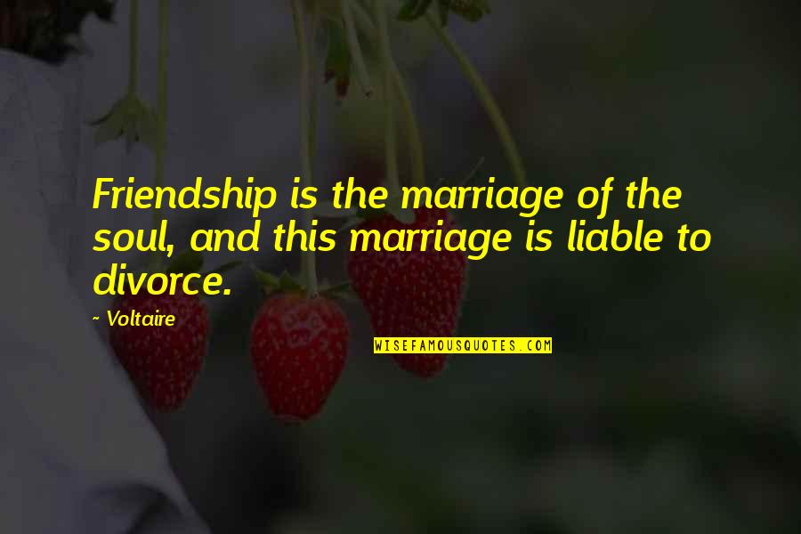 Faxian Quotes By Voltaire: Friendship is the marriage of the soul, and