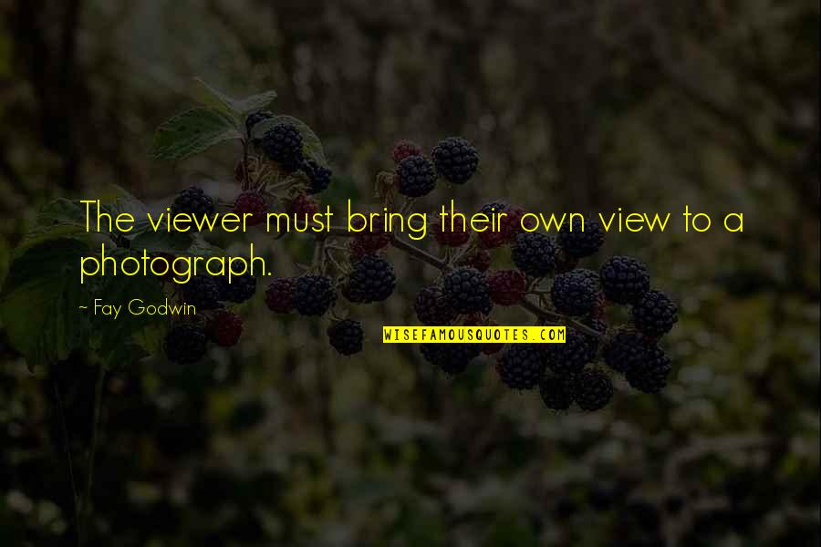 Fay Godwin Quotes By Fay Godwin: The viewer must bring their own view to