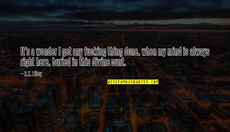 Fazed Quotes By R.K. Lilley: It's a wonder I get any fucking thing Fazed Quotes By R.K. Lilley: It's a wonder I get any fucking thing