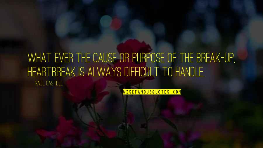 Fazed Vs Phased Quotes By Raul Castell: what ever the cause or purpose of the Fazed Vs Phased Quotes By Raul Castell: what ever the cause or purpose of the
