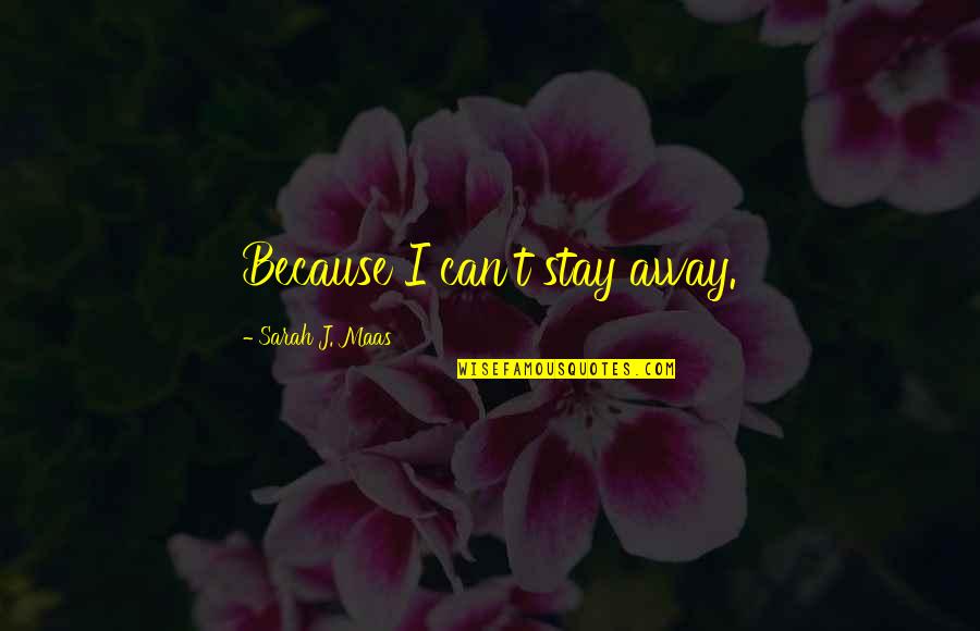 Fazekas Gimn Zium Quotes By Sarah J. Maas: Because I can't stay away.