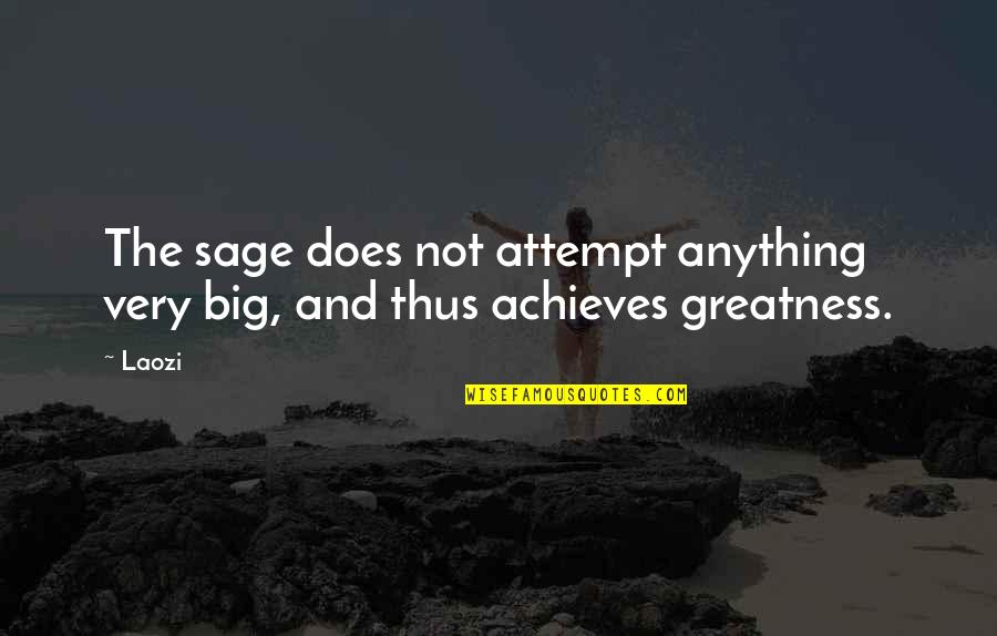 Fazema Quotes By Laozi: The sage does not attempt anything very big,