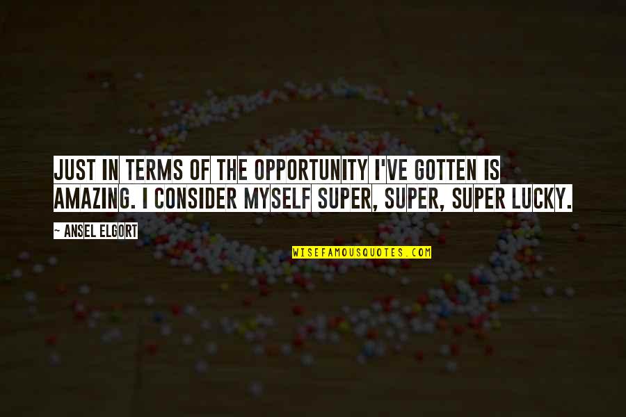 Fazilet Hanim Quotes By Ansel Elgort: Just in terms of the opportunity I've gotten