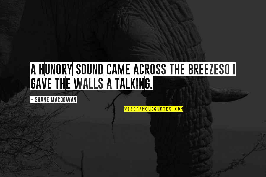 Fazire Quotes By Shane MacGowan: A hungry sound came across the breezeSo I