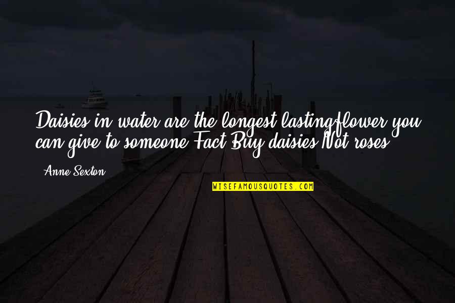 Fazool Ha Quotes By Anne Sexton: Daisies in water are the longest lastingflower you Fazool Ha Quotes By Anne Sexton: Daisies in water are the longest lastingflower you