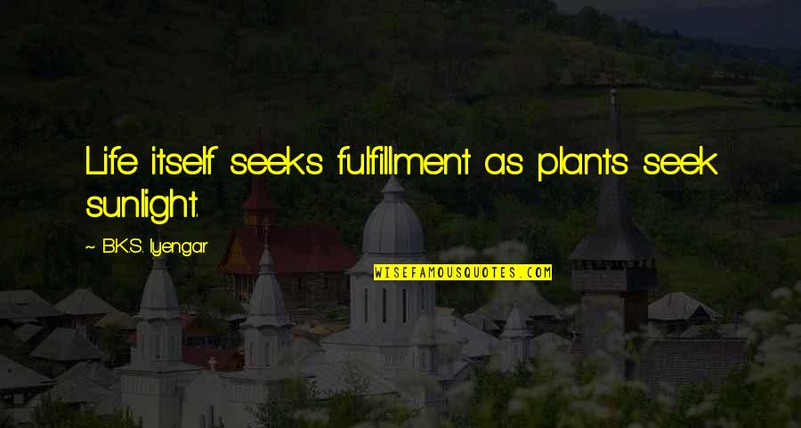 Fb Picture Captions Quotes By B.K.S. Iyengar: Life itself seeks fulfillment as plants seek sunlight.