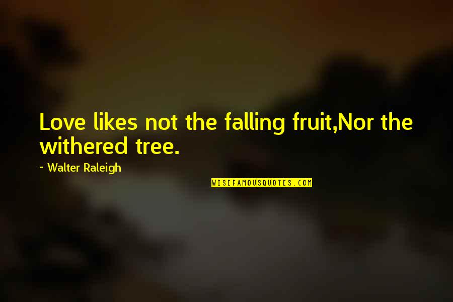 Fe Smith Quotes By Walter Raleigh: Love likes not the falling fruit,Nor the withered