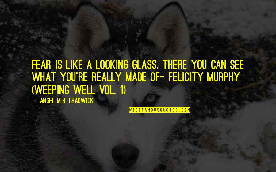 Fear 1 Quotes By Angel M.B. Chadwick: Fear is like a looking glass, there you