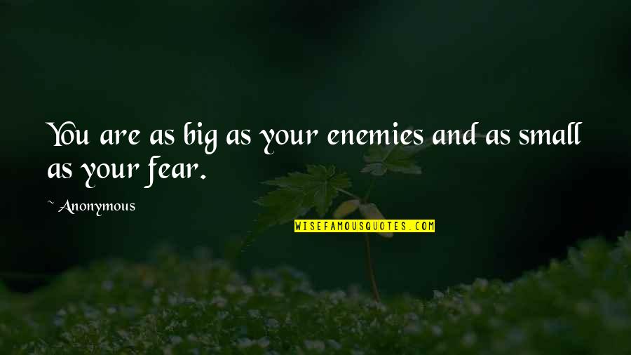 Fear And Bravery Quotes By Anonymous: You are as big as your enemies and