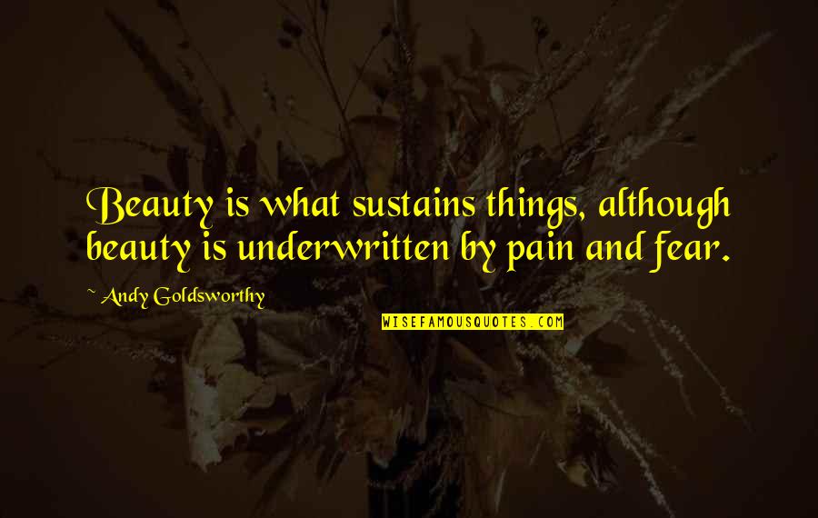 Fear And Pain Quotes By Andy Goldsworthy: Beauty is what sustains things, although beauty is