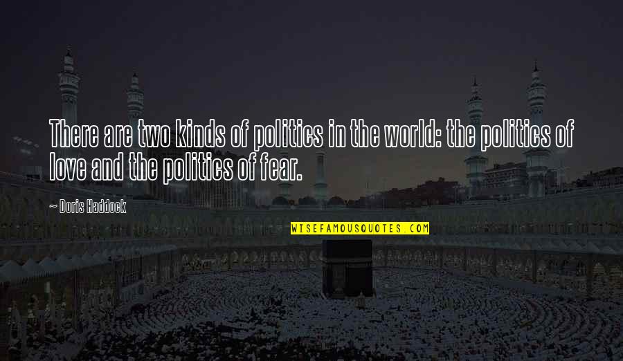 Fear And Politics Quotes By Doris Haddock: There are two kinds of politics in the