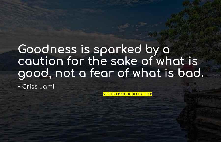 Fear For Love Quotes By Criss Jami: Goodness is sparked by a caution for the