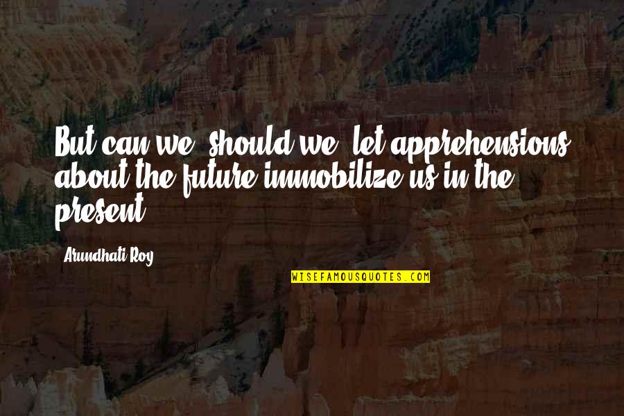 Fear For The Future Quotes By Arundhati Roy: But can we, should we, let apprehensions about