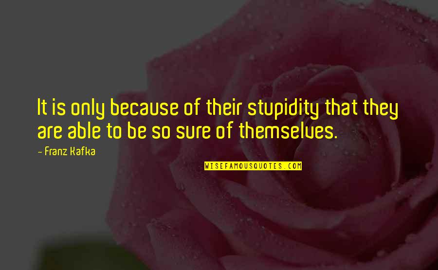 Fear In Things Fall Apart Quotes By Franz Kafka: It is only because of their stupidity that