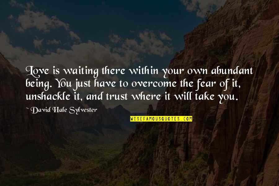 Fear Is Just Quotes By David Hale Sylvester: Love is waiting there within your own abundant