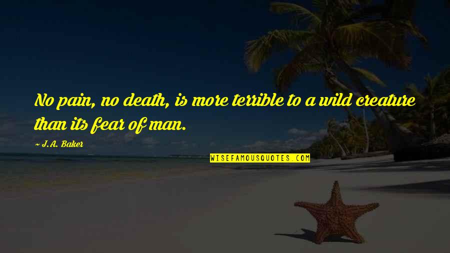 Fear No Man Quotes By J.A. Baker: No pain, no death, is more terrible to