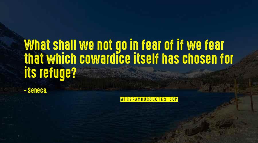 Fear Of Fear Itself Quotes By Seneca.: What shall we not go in fear of