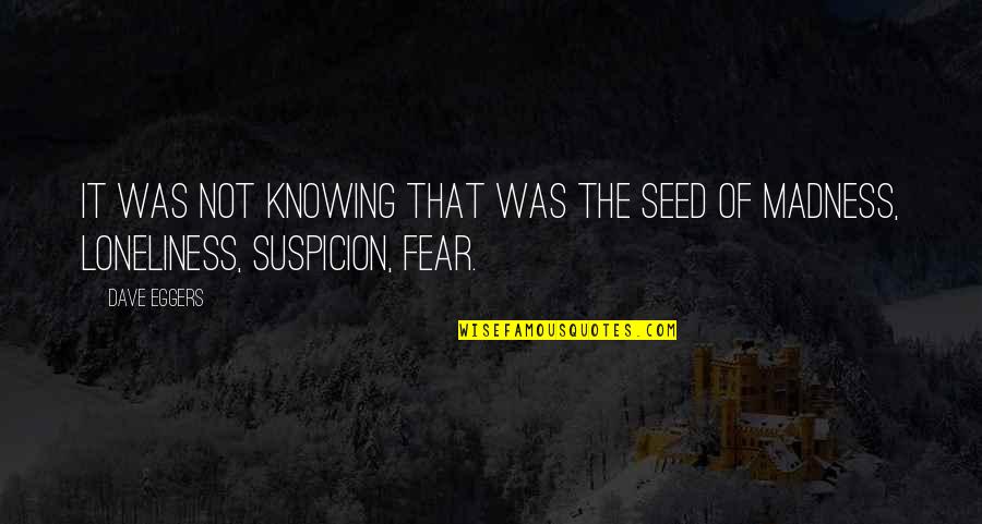 Fear Of Not Knowing Quotes By Dave Eggers: It was not knowing that was the seed