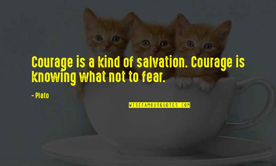 Fear Of Not Knowing Quotes By Plato: Courage is a kind of salvation. Courage is