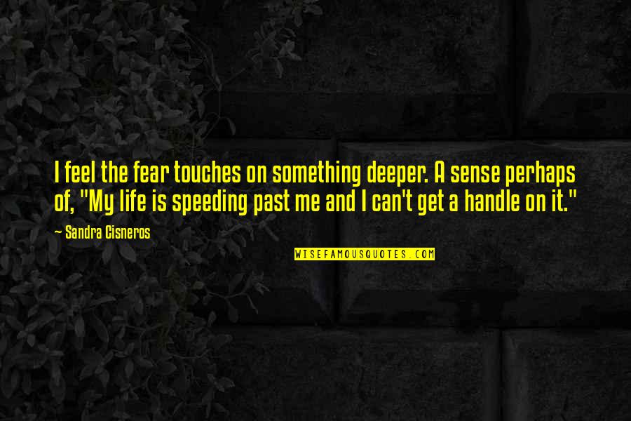 Fear Of The Past Quotes By Sandra Cisneros: I feel the fear touches on something deeper.