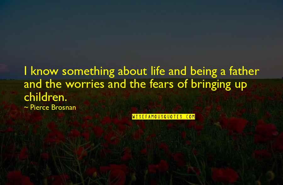 Fears And Worries Quotes By Pierce Brosnan: I know something about life and being a