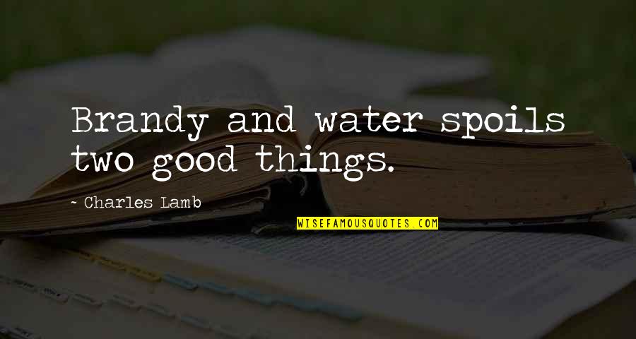 Fearscapes Quotes By Charles Lamb: Brandy and water spoils two good things.