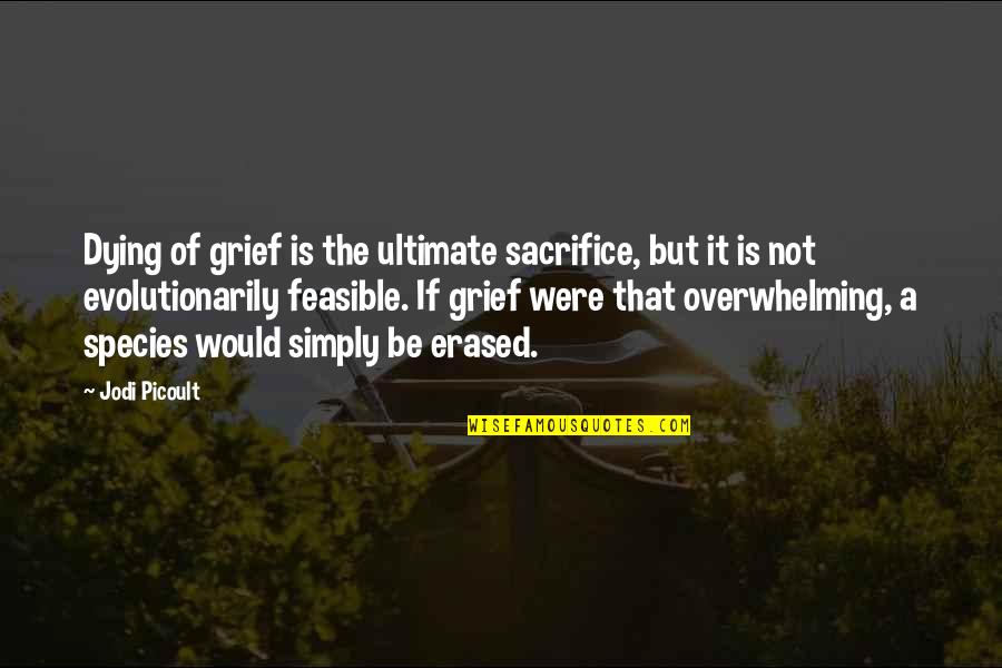 Feasible Quotes By Jodi Picoult: Dying of grief is the ultimate sacrifice, but