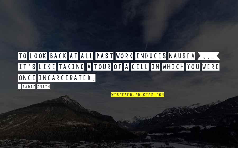 Feast Of Our Lady Of Lourdes Quotes By Zadie Smith: To look back at all past work induces Feast Of Our Lady Of Lourdes Quotes By Zadie Smith: To look back at all past work induces