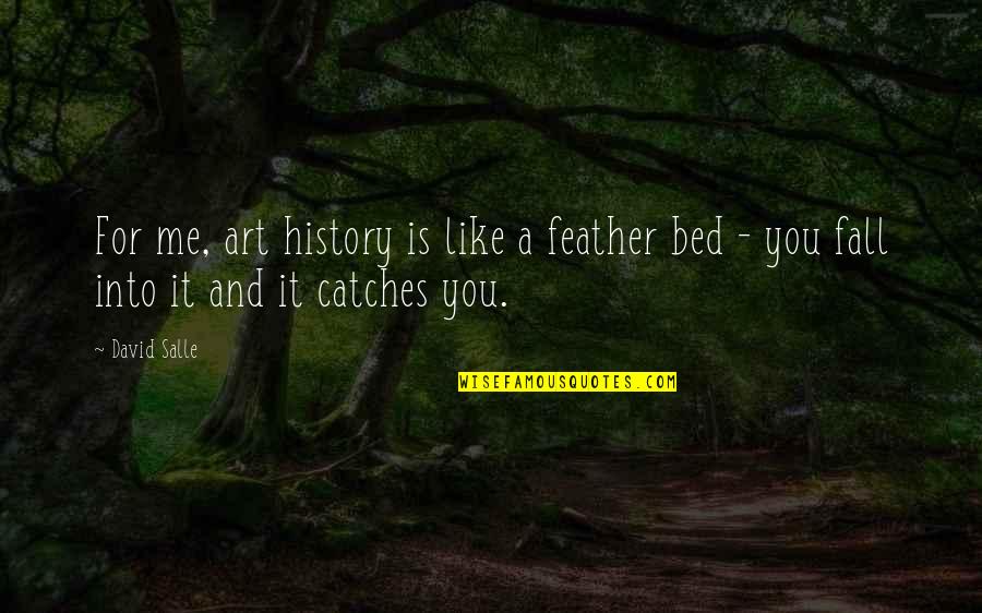Feather Bed Quotes By David Salle: For me, art history is like a feather