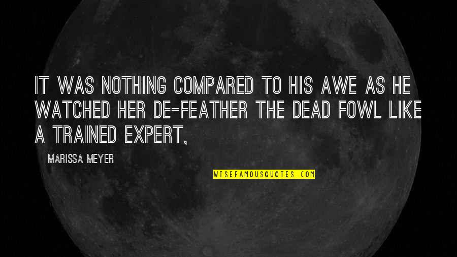 Feather'd Quotes By Marissa Meyer: It was nothing compared to his awe as