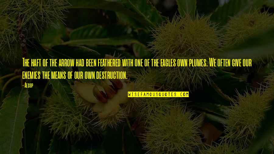 Feathered Birds Quotes By Aesop: The haft of the arrow had been feathered Feathered Birds Quotes By Aesop: The haft of the arrow had been feathered