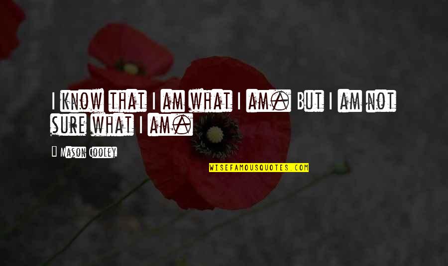 Featherly Park Quotes By Mason Cooley: I know that I am what I am. Featherly Park Quotes By Mason Cooley: I know that I am what I am.