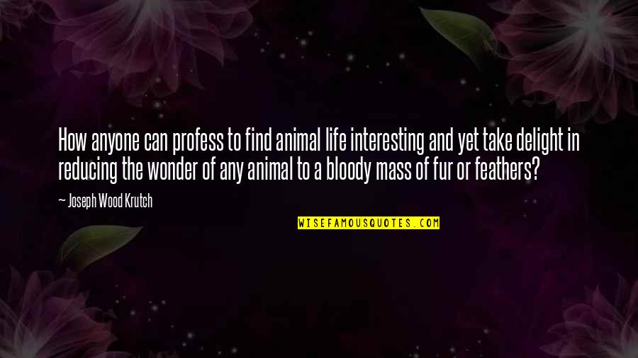 Feathers And Life Quotes By Joseph Wood Krutch: How anyone can profess to find animal life