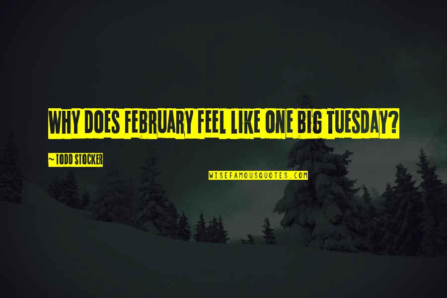 February Quotes By Todd Stocker: Why does February feel like one big Tuesday?