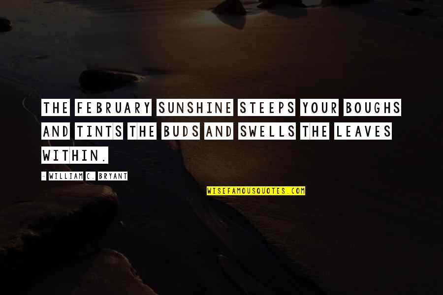 February Quotes By William C. Bryant: The February sunshine steeps your boughs and tints
