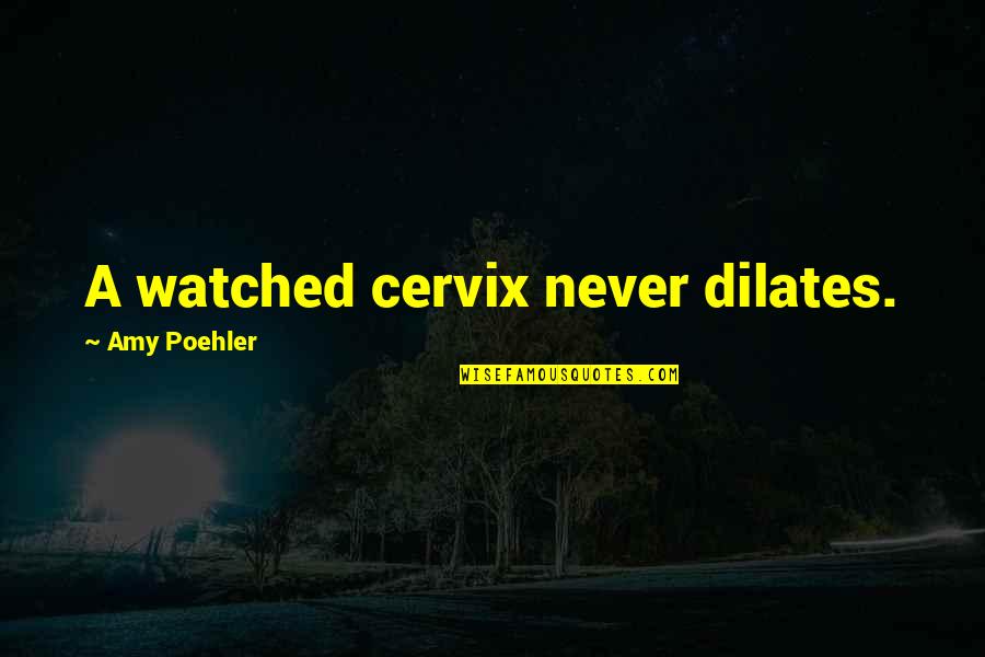 Feconder Quotes By Amy Poehler: A watched cervix never dilates. Feconder Quotes By Amy Poehler: A watched cervix never dilates.