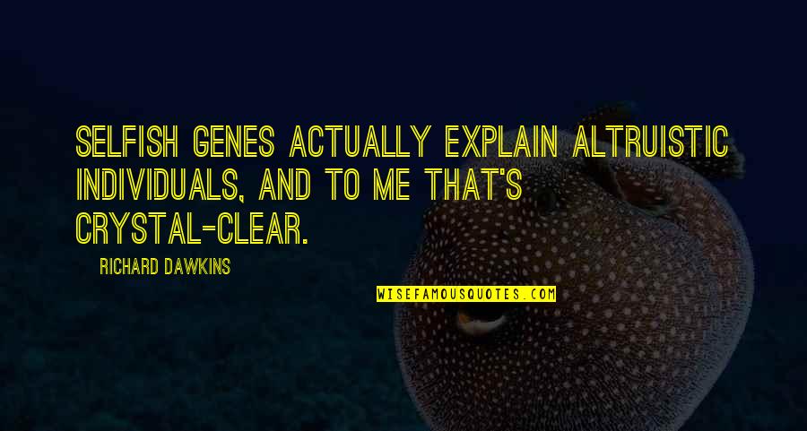 Feculent Gnarlmaw Quotes By Richard Dawkins: Selfish genes actually explain altruistic individuals, and to Feculent Gnarlmaw Quotes By Richard Dawkins: Selfish genes actually explain altruistic individuals, and to