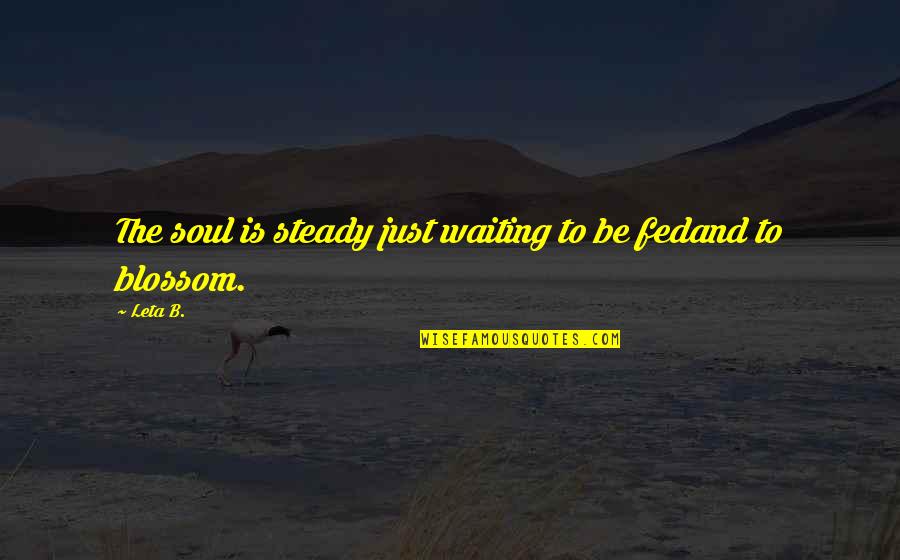 Fed Up Of Waiting For You Quotes By Leta B.: The soul is steady just waiting to be