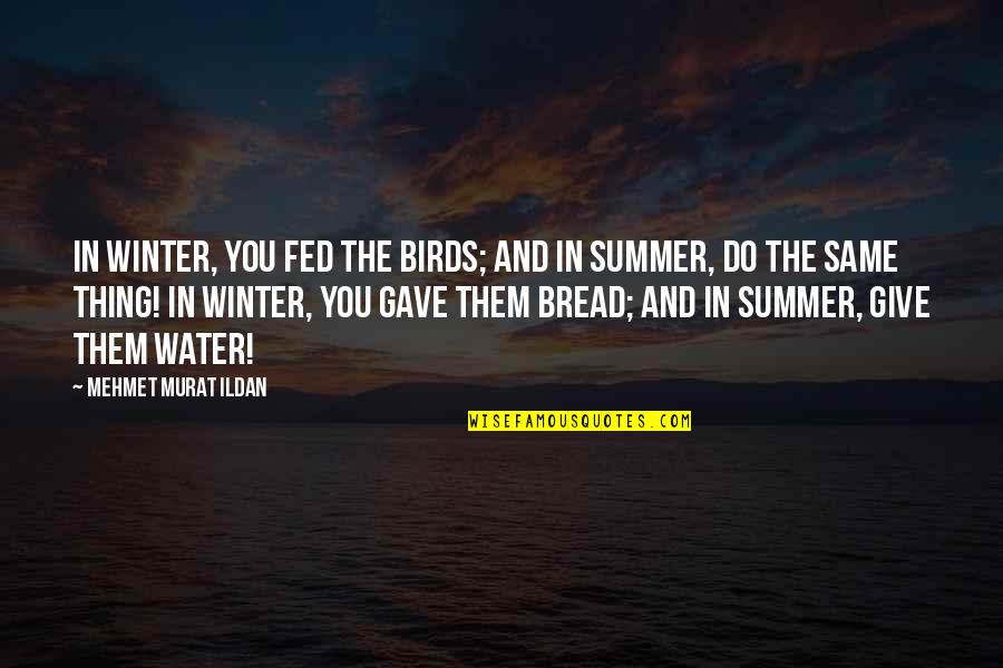 Fed Up With Winter Quotes By Mehmet Murat Ildan: In winter, you fed the birds; and in