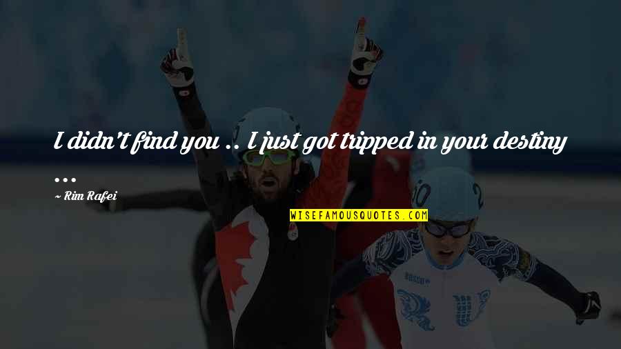 Federalist And Anti Federalist Quotes By Rim Rafei: I didn't find you .. I just got