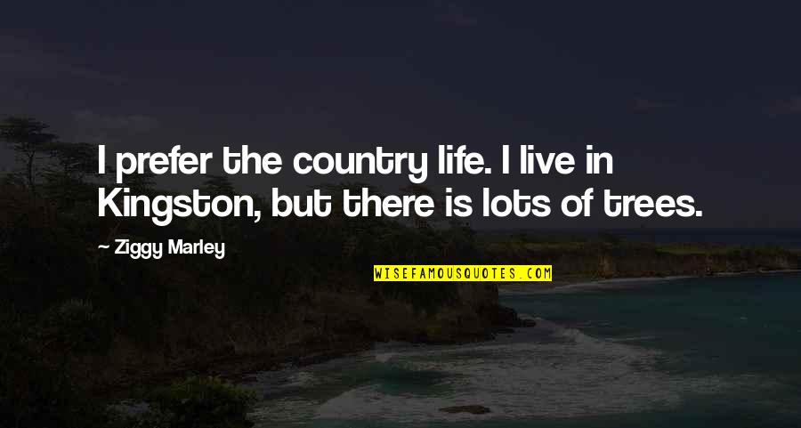 Federalized Resume Quotes By Ziggy Marley: I prefer the country life. I live in