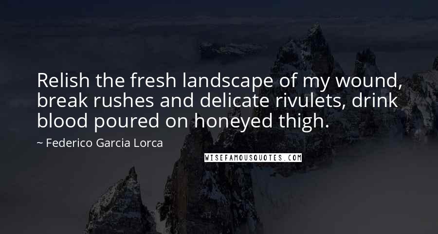 Federico Garcia Lorca quotes: Relish the fresh landscape of my wound, break rushes and delicate rivulets, drink blood poured on honeyed thigh.