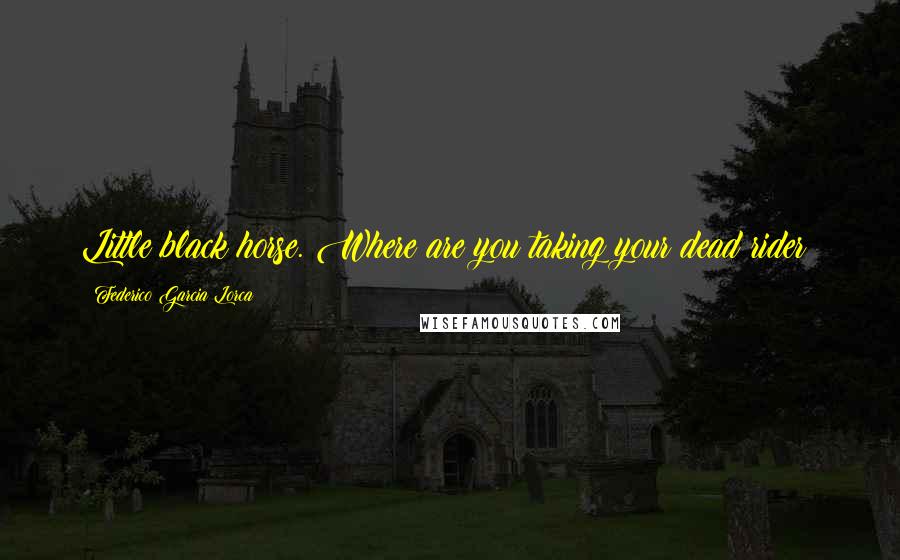 Federico Garcia Lorca quotes: Little black horse. Where are you taking your dead rider?