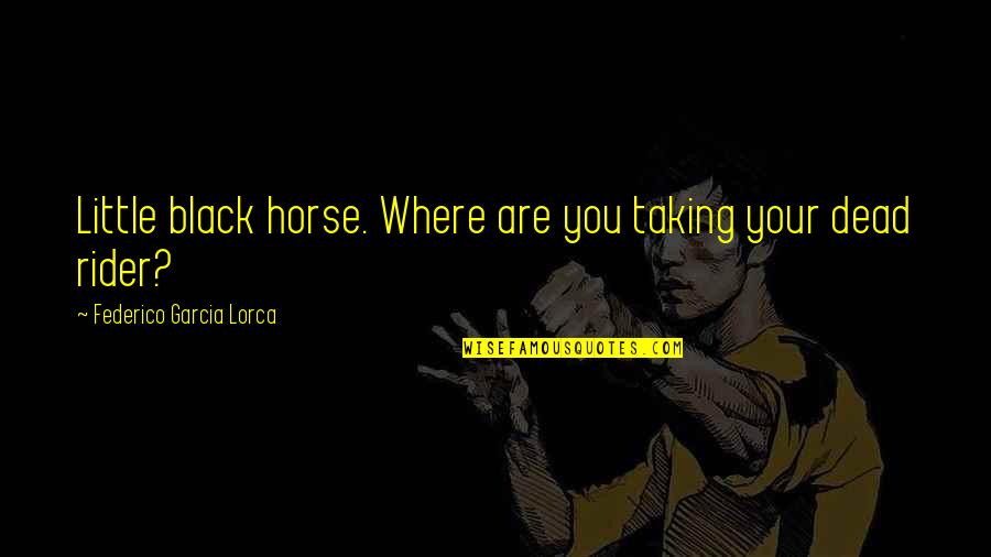 Federico Garcia Lorca Quotes By Federico Garcia Lorca: Little black horse. Where are you taking your
