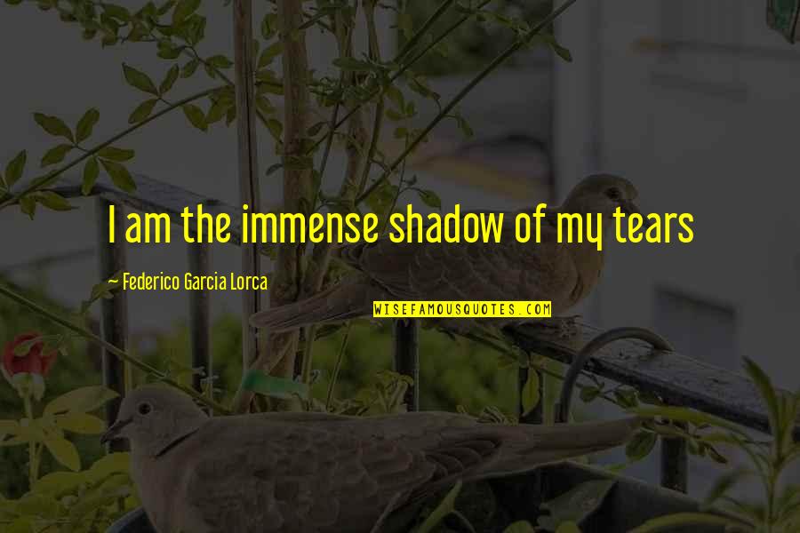 Federico Lorca Garcia Quotes By Federico Garcia Lorca: I am the immense shadow of my tears Federico Lorca Garcia Quotes By Federico Garcia Lorca: I am the immense shadow of my tears