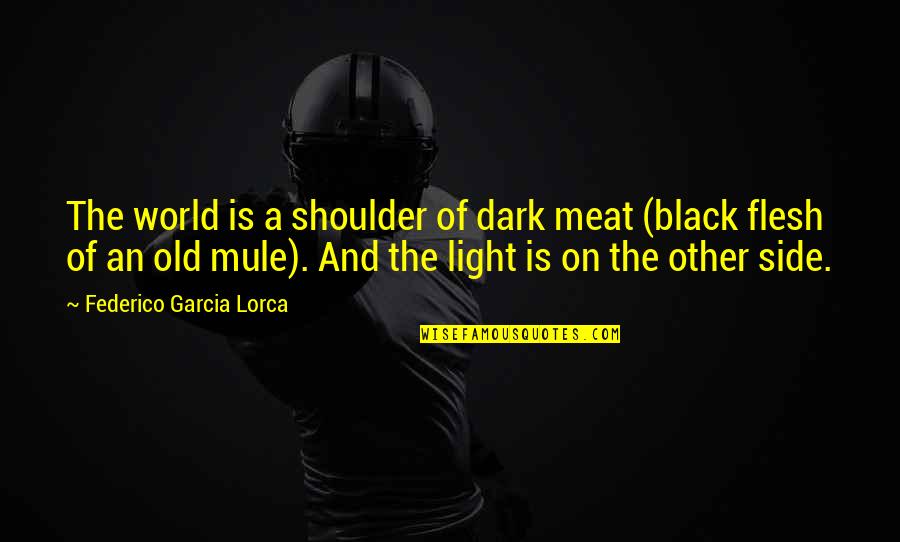 Federico Lorca Quotes By Federico Garcia Lorca: The world is a shoulder of dark meat