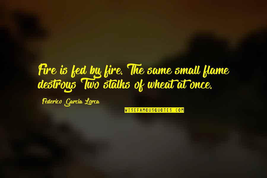 Federico Lorca Quotes By Federico Garcia Lorca: Fire is fed by fire. The same small