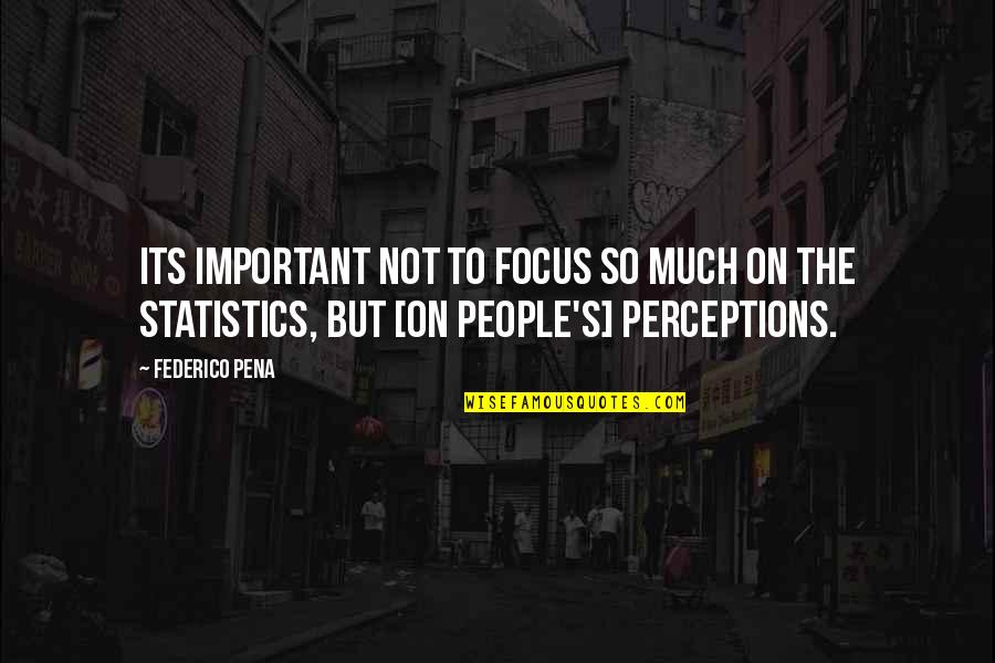 Federico Pena Quotes By Federico Pena: Its important not to focus so much on