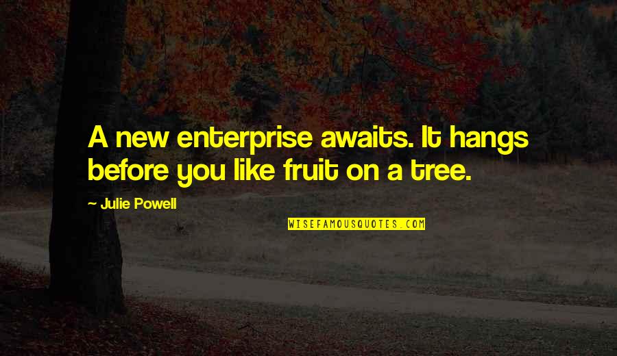 Federiko Kijeza Quotes By Julie Powell: A new enterprise awaits. It hangs before you