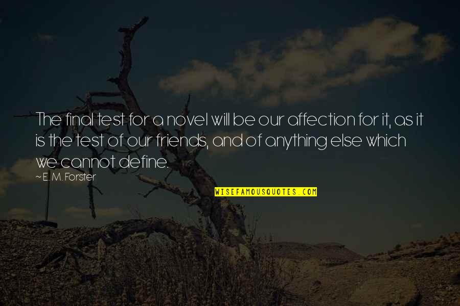 Fedja Dimovic Quotes By E. M. Forster: The final test for a novel will be